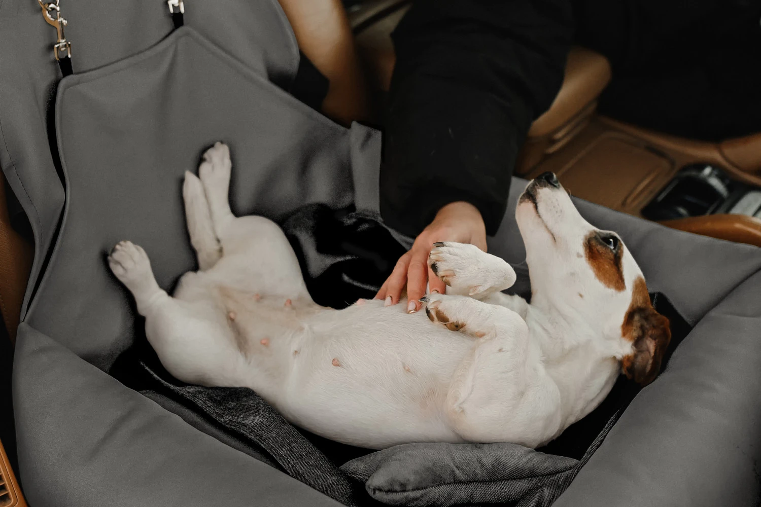 Jeep Cherokee Dog Car Seat for Dandie Dinmont Terriers
