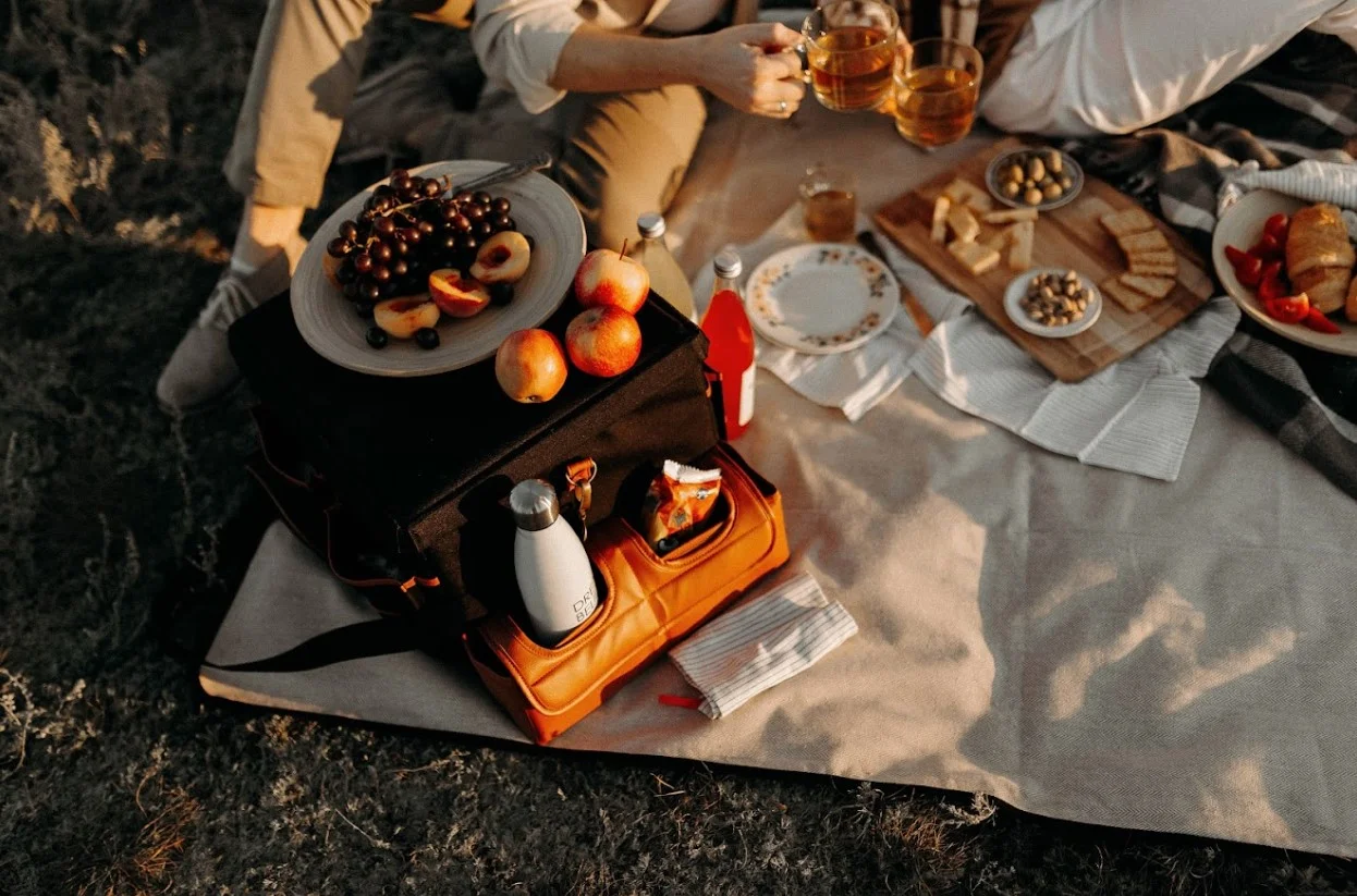 picnic blanket with bag