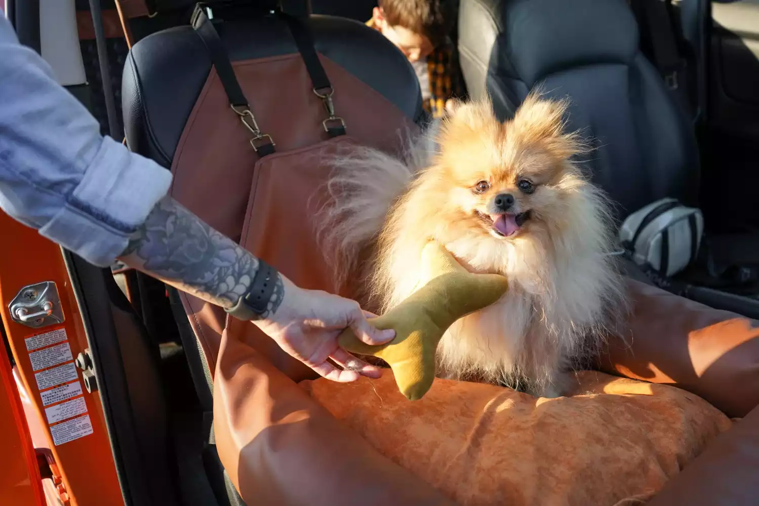 Jeep Cherokee Dog Car Seat for Dandie Dinmont Terriers